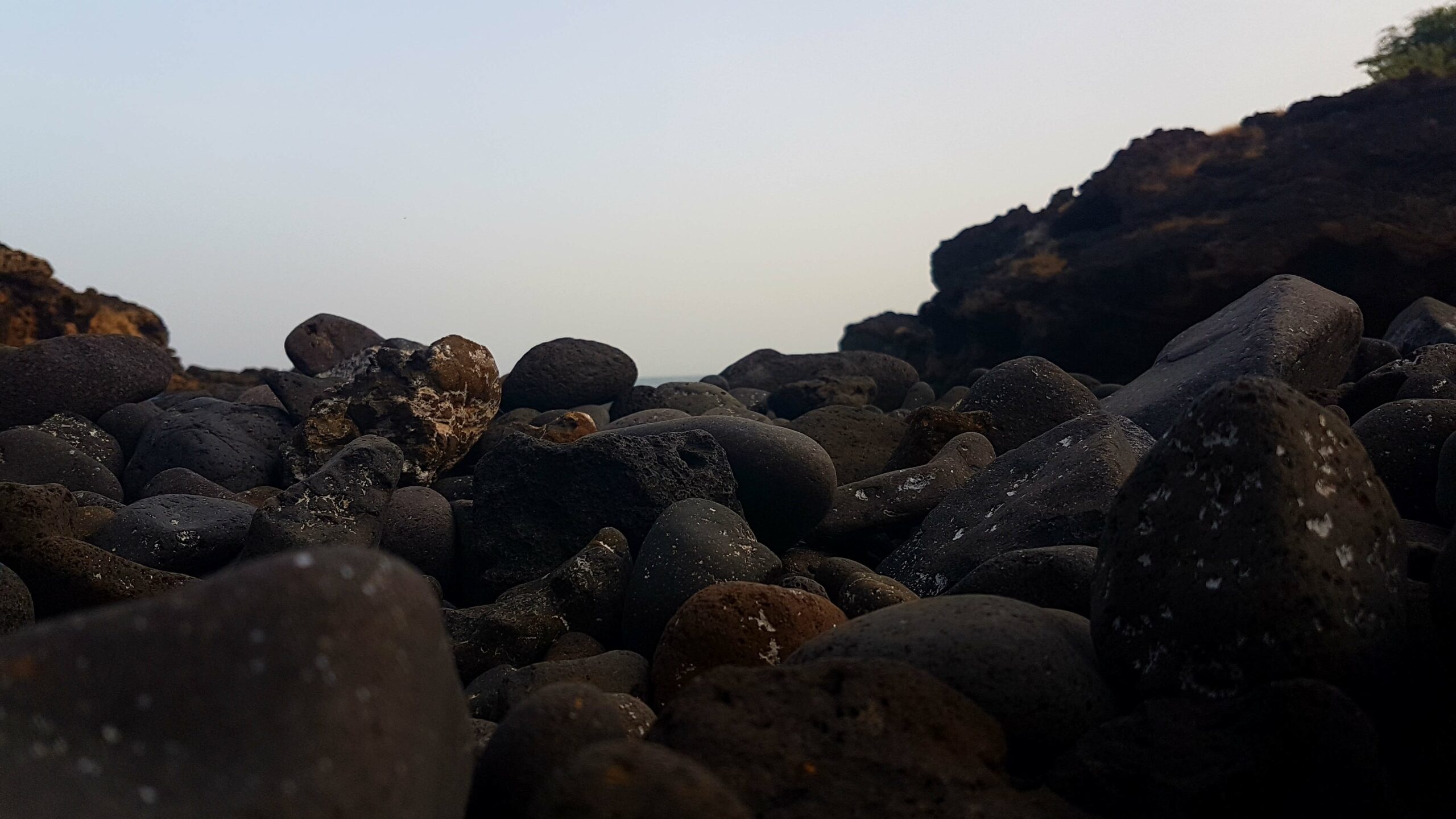 The Geologist
