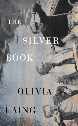 We Are All in Danger: Olivia Laing’s The Silver Book